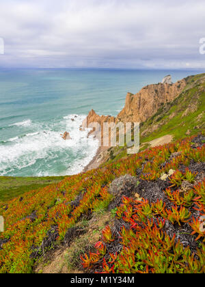 Praia da Ursa Ursa (Strand) in Sintra, nahe bei Lissabon in Portugal. Stockfoto