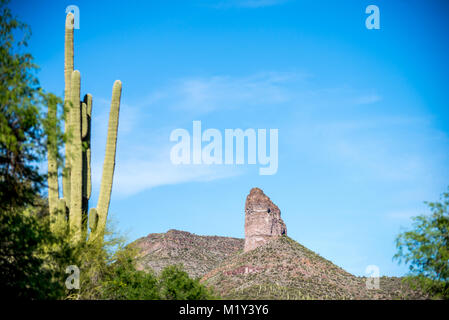 Saguaro Kaktus im Gegensatz mit hervorstehenden Felsen außerhalb des Black Canyon City, AZ Stockfoto