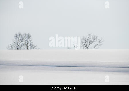 Minimale anzeigen Snow Hill bei Biei, Hokkaido, Japan im Winter Stockfoto