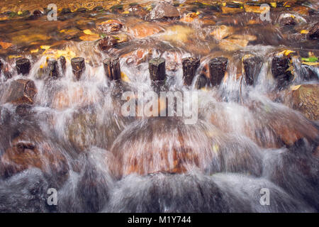 Wasser Strom des Flusses im Regenwald Überlauf durch Holz- wehr und Felsen. Stockfoto