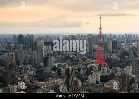 Tokyo City View mit Tokyo Tower am Abend in Japan. Wolkenkratzer in downton Stadt. Stockfoto