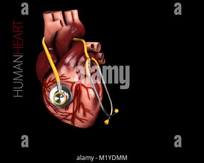 3D-Illustration des menschlichen Herzens Anatomie mit Stethoskop. Organe Symbol auf schwarzem Hintergrund isoliert. Stockfoto