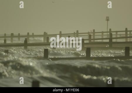 Holz- Strand Buhnen entlang Dawlish Warren auf einem Abgehackt trüben Wintertag. South Devon, Großbritannien. Stockfoto