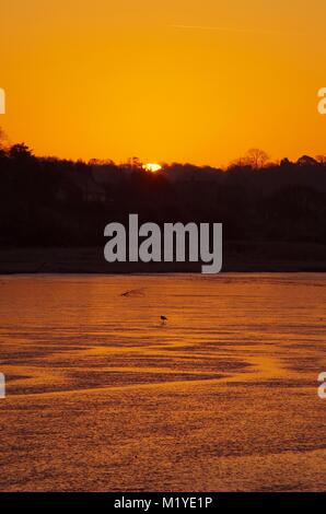 Orange Winter Sonnenaufgang über dem Fluss Clyst, Exe Estuary bei Ebbe. Topsha, Exeter, Devon, Großbritannien. Dezember, 2014. Stockfoto