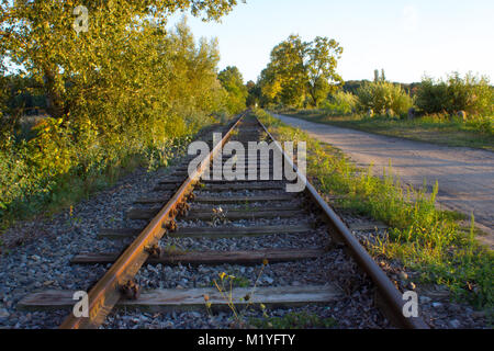 Im Vordergrund sind Bäume und Sträucher. Railroad Tracks werden durch Sonnenuntergang beleuchtet. Sie laufen hinter dem Horizont. Neben der Schiene ist der Weg. In t Stockfoto