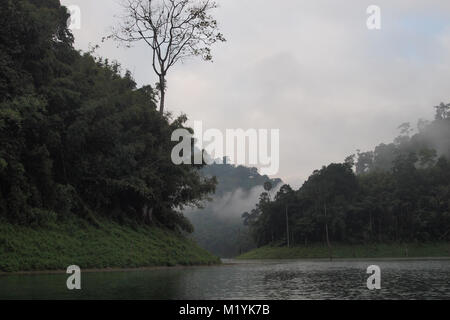 Am frühen Morgen auf dem See, Cloud Nebel über dem Wasser, Thailand tiefe Wildnis Stockfoto