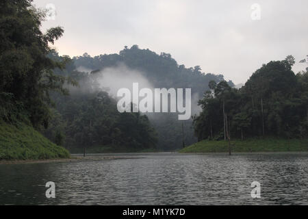 Immergrüne Regenwald Dschungel auf Kalkfelsen, Cheow Lan Lake, am frühen Morgen Stockfoto