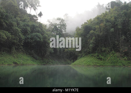 Immergrüne Regenwald Dschungel auf Kalkfelsen, Nebel über dem Wasser Stockfoto