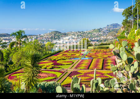 MADEIRA Portugal Madeira Funchal Botanischer Garten der Botanische Garten Jardim Botanico oberhalb der Hauptstadt Funchal, Madeira, Portugal, EU, Europa Stockfoto