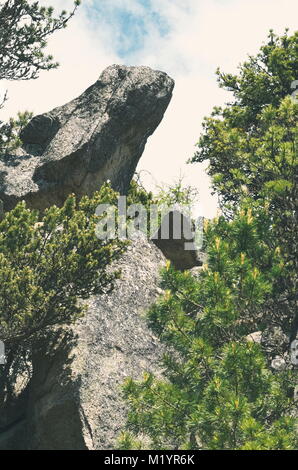 Lizard Head Rock mit Pine Tree in der Hohen Tatra Stockfoto