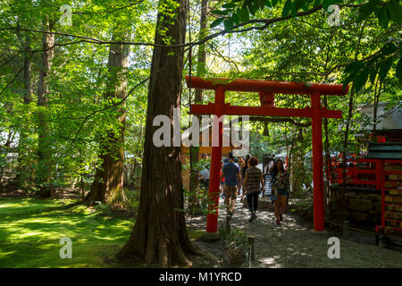 Einige Touristen zu Fuß durch die rote Torii am Wald von Arashiyama, Kyoto, Japan Stockfoto