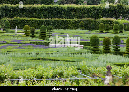 Gärten und Chateau de Villandry im Tal der Loire in Frankreich Stockfoto