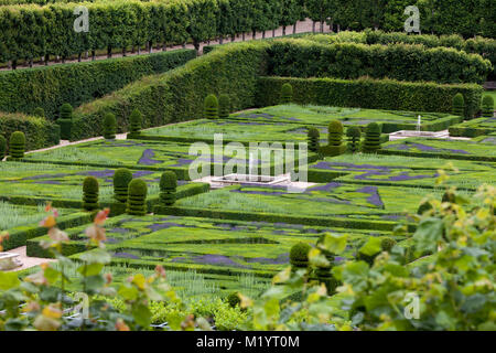 Gärten und Chateau de Villandry im Tal der Loire in Frankreich Stockfoto