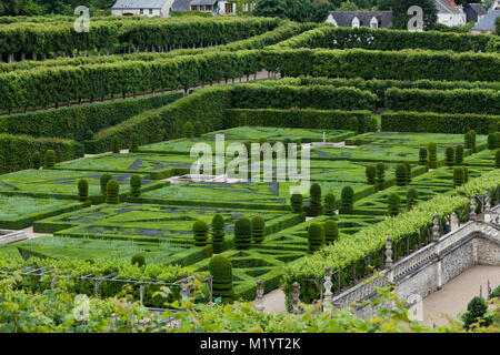 Gärten und Chateau de Villandry im Tal der Loire in Frankreich Stockfoto