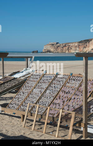Racks der Trocknung Fische in der Sonne am Strand von Nazare, Portugal. Stockfoto