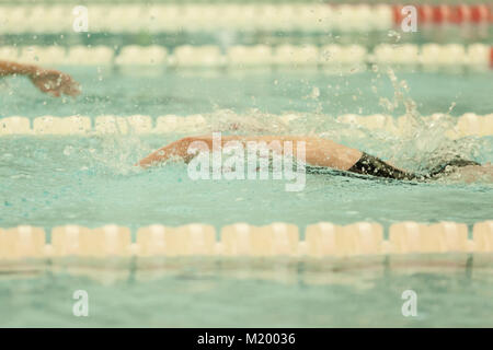 Ein Schwimmer schwimmt Freestyle bei einem Wettkampf schwimmen. Stockfoto