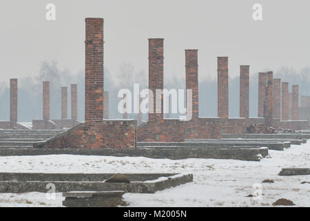 Ein Winter Blick auf Auschwitz II-Birkenau, ein Deutscher Nazi Konzentrations- und Vernichtungslager. Stockfoto