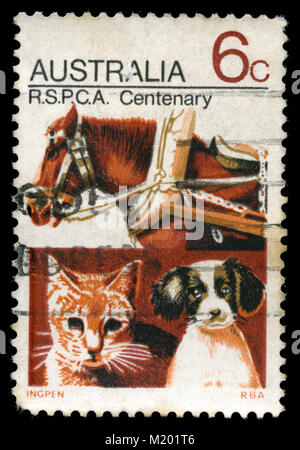 Poststempel Stempel aus Australien in der Rspca in der Serie 1971 Stockfoto