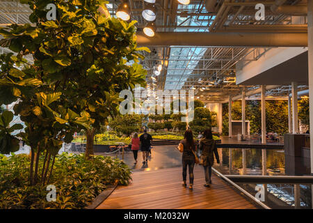 Devonian Gardens, indoor Park am Core Einkaufszentrum in der Innenstadt von Calgary, Alberta, Kanada Stockfoto