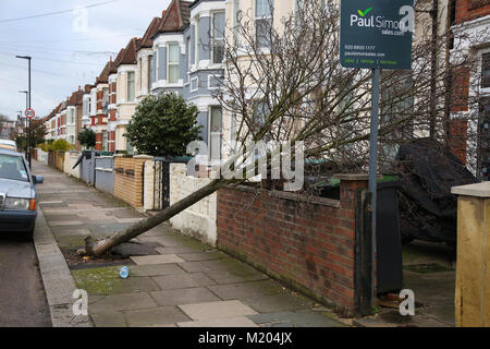 Beeinflußt von der Sturm Eleanor im Norden von London. Sturm Eleanor Hit in Großbritannien mit dem Britischen Met Office Aufnahme Böen bis 100 mph (161 km/h). Gelb Warnung wurden für Wales, England, Nordirland und Teile des südlichen Schottland. Mit: Atmosphäre, Wo: London, Vereinigtes Königreich, wenn: 03 Jan 2018 Credit: WENN.com Stockfoto
