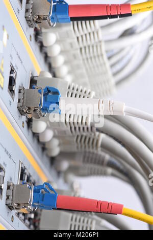 Netzwerk Kabel mit Schalter im Rechenzentrum Stockfoto