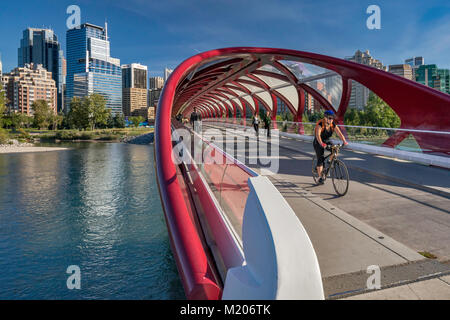 Biker am Frieden Brücke, Fußgängerbrücke über Bow River in der Nähe der Innenstadt von Calgary, Alberta, Kanada Stockfoto