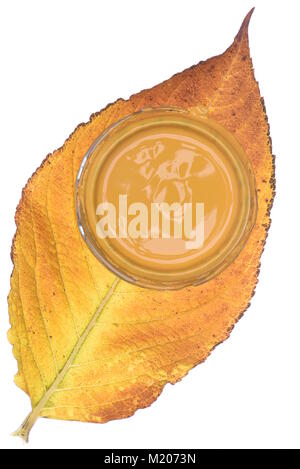 Herbst Blatt mit Farbe können Deckel auf weißem Hintergrund Stockfoto