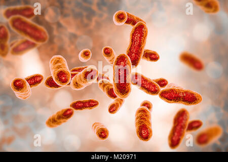 Tannerella forsythia Bakterien, computer Abbildung. Dieses anaerobe Gram-negative stäbchenförmige Bakterium wurde zuvor als Bacteroides forsythus und Tannerella forsythensis. Es hat in Atherosklerotischen Läsionen identifiziert, ist bei periodontalen Krankheiten und bakterielle Vaginose verwickelt. Ihre Präsenz in den Mund wurde mit einem erhöhten Risiko für die Entstehung von Ösophagusulzera Krebs verbunden. Stockfoto