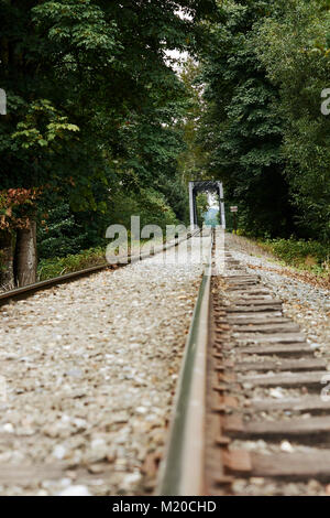 Bilder der Schienen- und Eisenbahnbrücke überqueren Sie den Snoqualmie river außerhalb Nord im Staat Washington, USA Bend Stockfoto