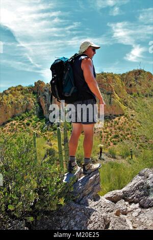 Apache Junction Arizona ist wunderschön im Frühjahr - Überraschungen mit Blüte, Flora und Fauna und unglaubliche Wanderungen in den Aberglauben Stockfoto