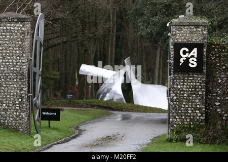 Allgemeine Ansicht des Cass Sculpture Gallery auf dem Goodwood Estate in Chichester, West Sussex, UK. Stockfoto