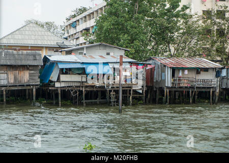 Die Holzhäuser am Mae Nam Chao Phraya Fluss in Bangkok. Stockfoto