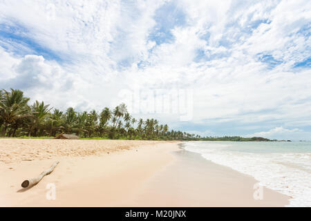 Balapitiya, Sri Lanka, Asien - eine Holz- Filiale am Strand von Balapitiya Stockfoto