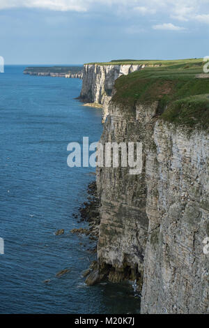 Malerische Klippen der Küste Blick von Bempton Cliffs RSPB Reservat, blauem Himmel, Nordsee und hoch aufragenden Chalk Vorgewende & Klippen - East Yorkshire, England. Stockfoto
