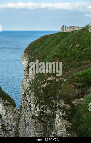 Cliff - Ansicht von oben von Seevögeln nisten für Paar Leute (ornithologen) auf der Aussichtsplattform - Bempton Cliffs RSPB Reservat, East Yorkshire, England, UK. Stockfoto