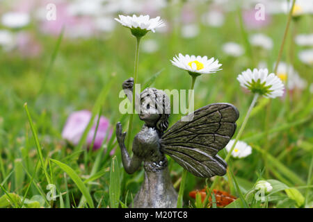 Garten fairy Girl holding Gänseblümchen. Stockfoto