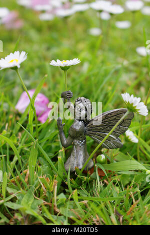 Garten fairy Girl holding Gänseblümchen. Stockfoto