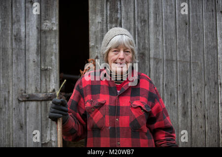 Rosamund Young, Autor von "Das geheime Leben der Kühe", fotografiert auf Drachen Nest Farm, wo Sie kostenfreie Rassen - Rinder, Cotswolds, England, Großbritannien Stockfoto