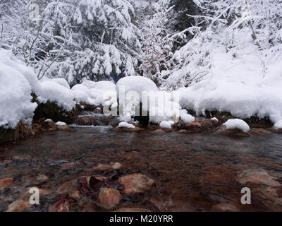 Lehm - farbige Fluss im Winter mit verschneiten Ufer Stockfoto