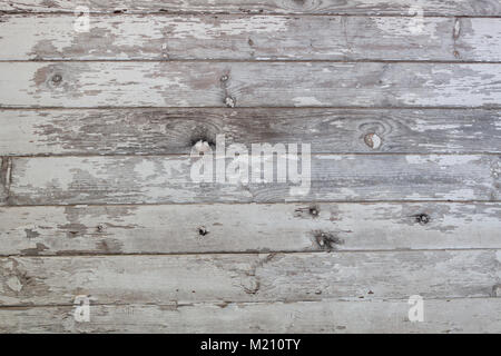 Weiß lackiert Peeling verwitterten Barn siding Stockfoto