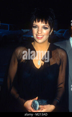 BEL AIR, CA - 26. Mai: Sängerin/Schauspielerin Liza Minelli im Bel Air Hotel am 26. Mai 1981 in Bel Air, Kalifornien. Foto von Barry King/Alamy Stock Foto Stockfoto