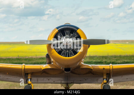 Vorderansicht des gelben Single Motor propeller Flugzeug auf dem Boden Stockfoto