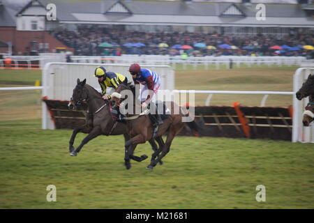 Musselburgh, UK, 03. Februar 2018, letzte Runde des zweiten Rennen unterwegs Der Bet365 Cheltenham Studien Wochenende, Credit: Ian Tat/Alamy leben Nachrichten Stockfoto