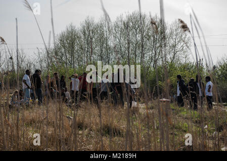 Subotica, Serbien. 24 Mär, 2017. Die pakistanischen Migranten gesehen stehen in einem Feld in der Nähe der Grenze. Subotica, 15 km von der serbisch-ungarischen Grenze entfernt, ein sicheres Haus für Hunderte von Flüchtlingen und Migranten. Die balkanroute wurde offiziell mehr als vor einem Jahr, dennoch, Stills geschlossen bleibt als ein offenes Tor für Tausende von Flüchtlingen und Migranten. In der Zwischenzeit, Migranten aus Pakistan leben illegal in den Wäldern und in verlassenen Gebäuden, da Sie nicht für Asyl qualifizieren. Als illegal keinen Zugang zu den Aktivitäten im offiziellen Camps zur Verfügung und die meisten der Pakistanischen sind nicht eligibl geben Stockfoto