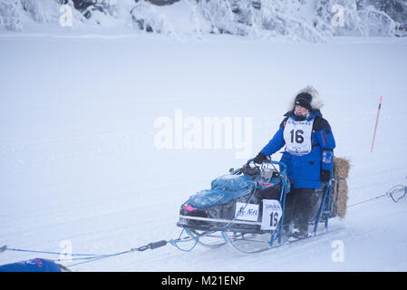 FAIRBANKS, Alaska - Februar 3, 2018: Yukon Quest Anfänger Jennifer Campeau, von Rocky Mountain House, Alberta, Kopf nach unten dem Chena River. Credit: Roger Asbury/Alamy leben Nachrichten Stockfoto