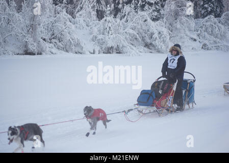 FAIRBANKS, Alaska - Februar 3, 2018: Yukon Quest veteran Dave Dalton von Healy, AK, auf dem Chena River in der Nähe der Start des Yukon Quest Schlittenhunderennen. Credit: Roger Asbury/Alamy leben Nachrichten Stockfoto