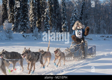 FAIRBANKS, Alaska - Februar 3, 2018: Race veteran Paige Drobny, von Ester, AK, verzichtet auf die Fans als Sie die Köpfe der Trail. Credit: Roger Asbury/Alamy leben Nachrichten Stockfoto