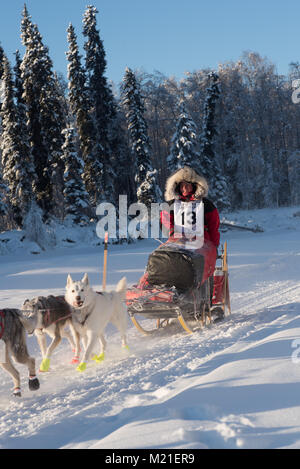 FAIRBANKS, Alaska - Februar 3, 2018: Race Veteran Laura Neese, von McMillan, MI, auf dem Chena River im Yukon Quest 2018. Credit: Roger Asbury/Alamy leben Nachrichten Stockfoto