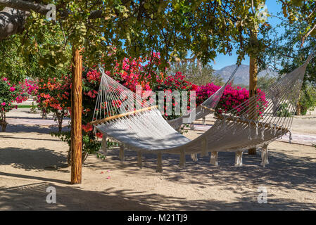 Diese Hängematte ruht in der Sonne der Baja, Mexiko. Am Los Cabos Resort Gofl in Cabo San Lucas, Mexiko Stockfoto