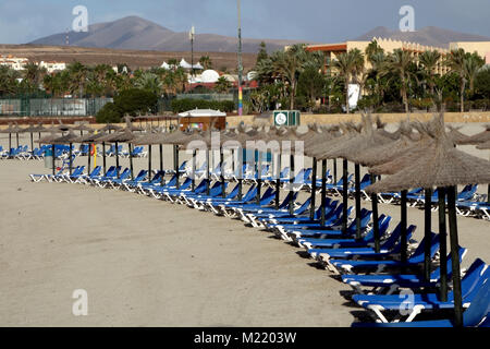 Leere Liegestühle an der Costa Caleta de Fuste Strand auf Fuerteventura auf den Kanarischen Inseln, Spanien, EU. Stockfoto